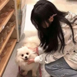 拳无双bt版下载